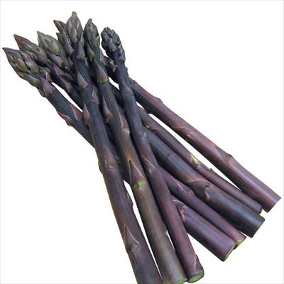 紫アスパラガス