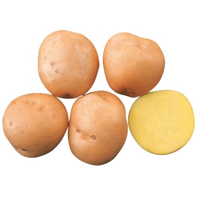 ジャガイモ ながさき黄金