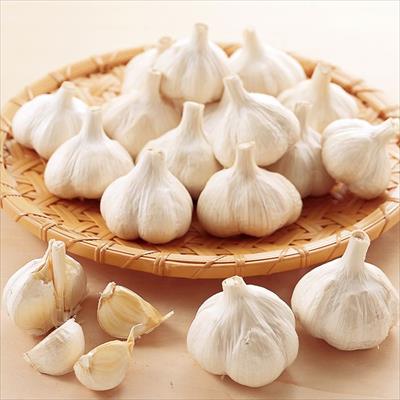 寒地系ニンニク ニューホワイト6片