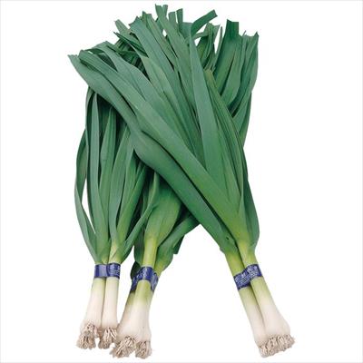 葉ニンニク ハーリック