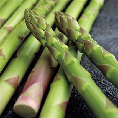 アスパラガス ウェルカムAT