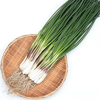 ラッキョウ 越のパール