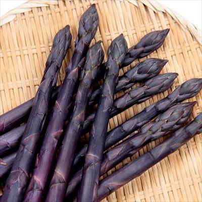 アスパラガス 恋むらさき 特大株