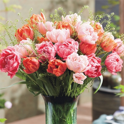 チューリップ ピーチアップル