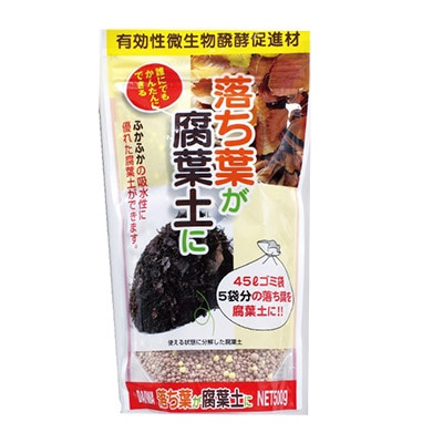 落ち葉が腐葉土に