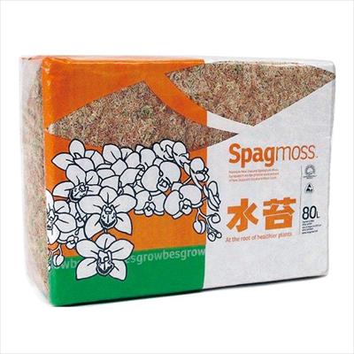 ニュージーランド産水苔