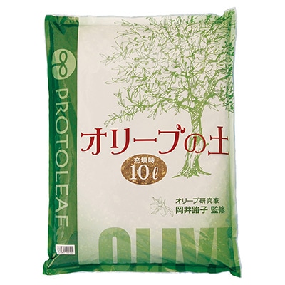 オリーブの土