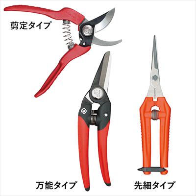 近正 軽量鋏3点セット