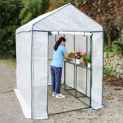 グリーンスーパージャンボ