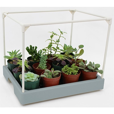 多肉マンション