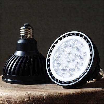 Plants NEXLIGHT PAR303（電球色）BC95（黒）