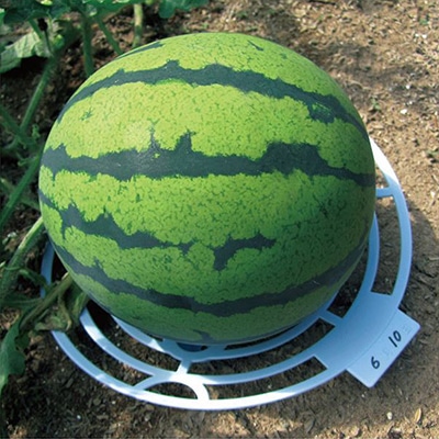 すいかのマット 3枚入り