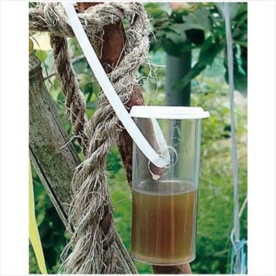 ウルフピー 専用容器（33日ディスペンサー）