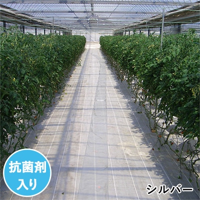 グランドシート(抗菌剤入）