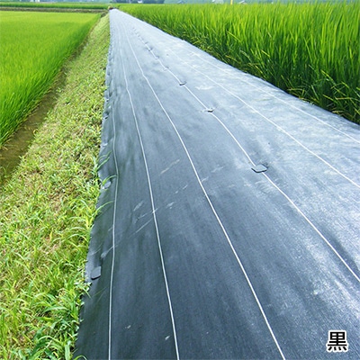 グランドシート(抗菌剤なし）