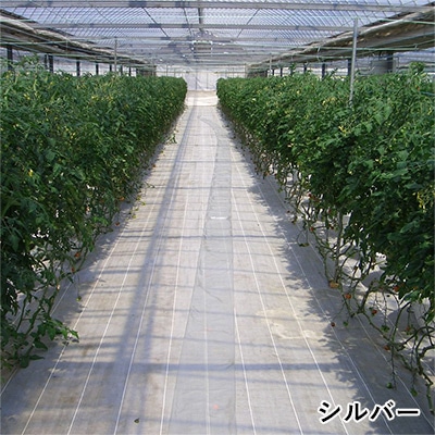 グランドシート(抗菌剤なし）