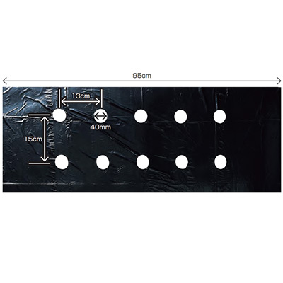 穴あき玉ねぎマルチ