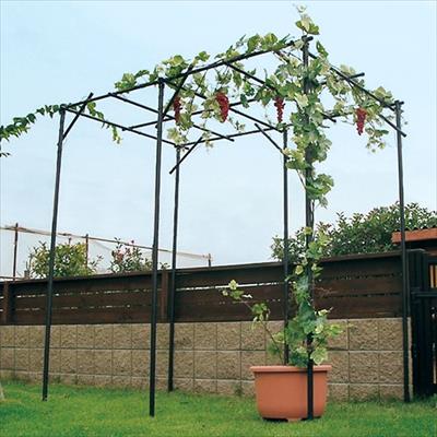 くだもの棚セット KT-M