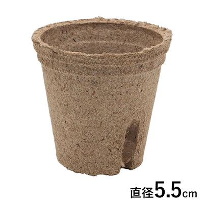 ジフィーポット（そのまま植えられるエコポット）