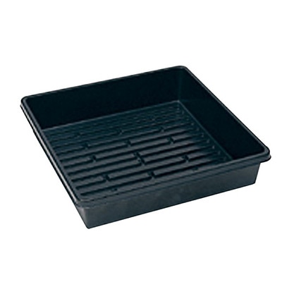 ジフィーハーフトレー（マットなし）