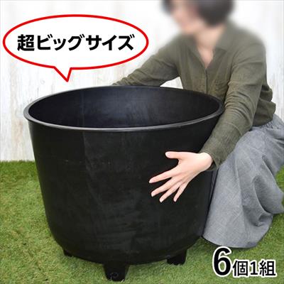 サンポット・ビッグ80（果樹苗仕立鉢）