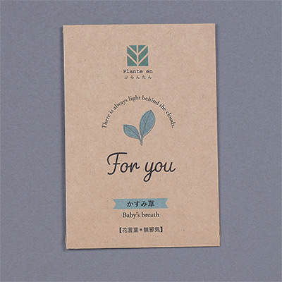 ぷらんたん（R） クラフトミニ かすみ草