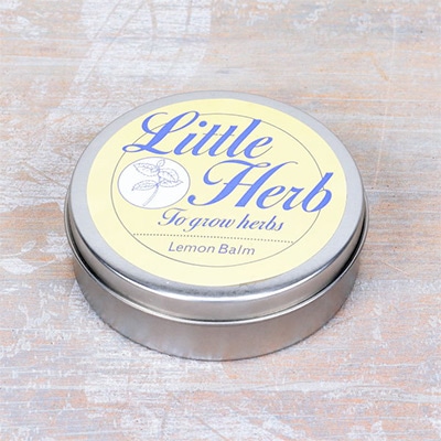 リトルハーブ  レモンバーム