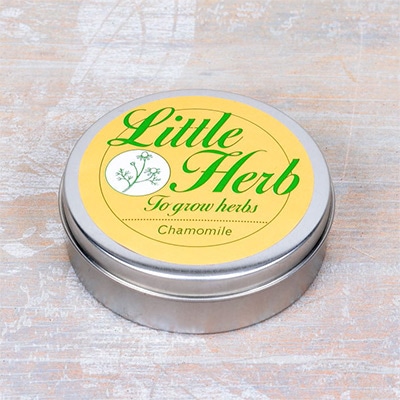 リトルハーブ  カモミール