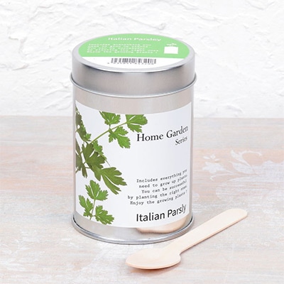 ホームガーデン イタリアンパセリ