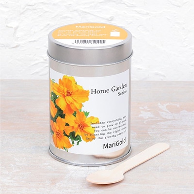 ホームガーデン マリーゴールド