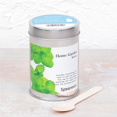 ホームガーデン スペアミント