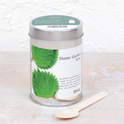 ホームガーデン シソ