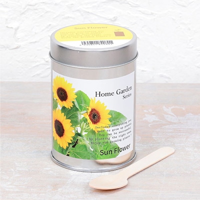 ホームガーデン ヒマワリ