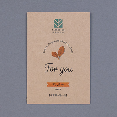 ぷらんたん（R） クラフトミニ アスター