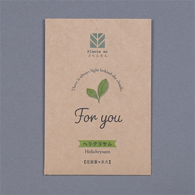 ぷらんたん（R） クラフトミニ ヘリクリサム