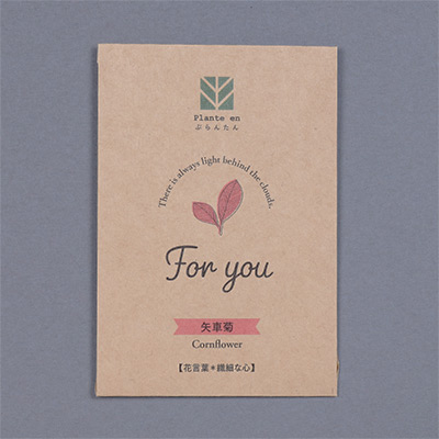 ぷらんたん（R） クラフトミニ 矢車菊