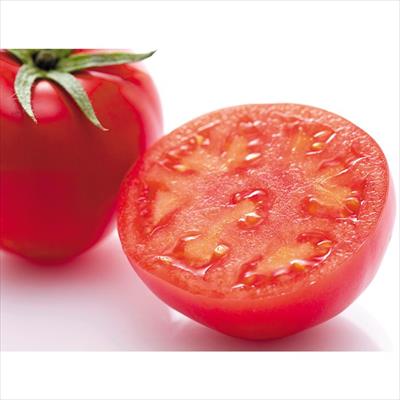 佐賀・川副 光樹とまと