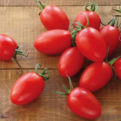 和歌山・印南町 ミニトマト 王糖姫(R)