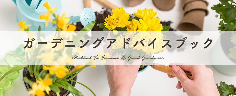 カーデニングアドバイスブック