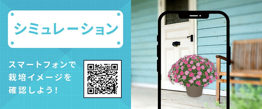 スマートフォンで栽培イメージを確認しよう!ARシミュレーション