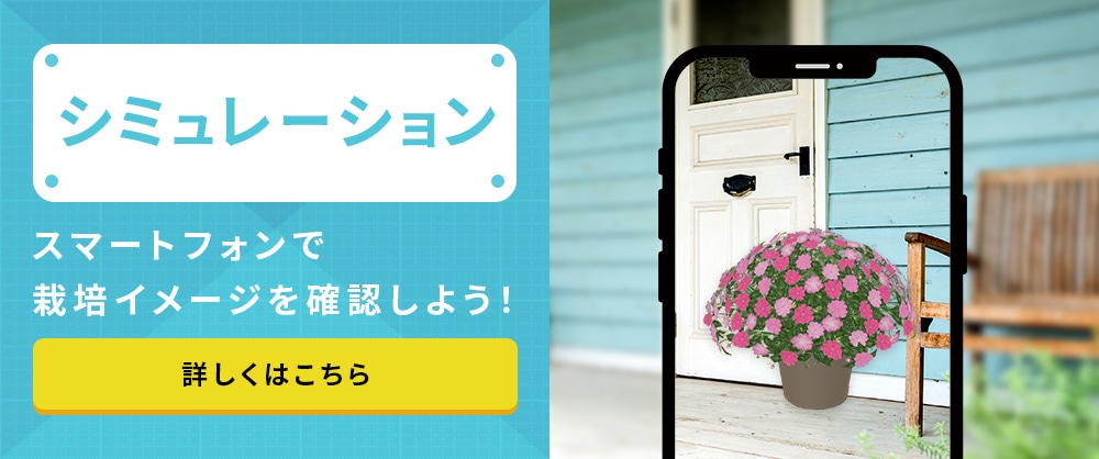 スマートフォンで栽培イメージを確認しよう!ARシミュレーション