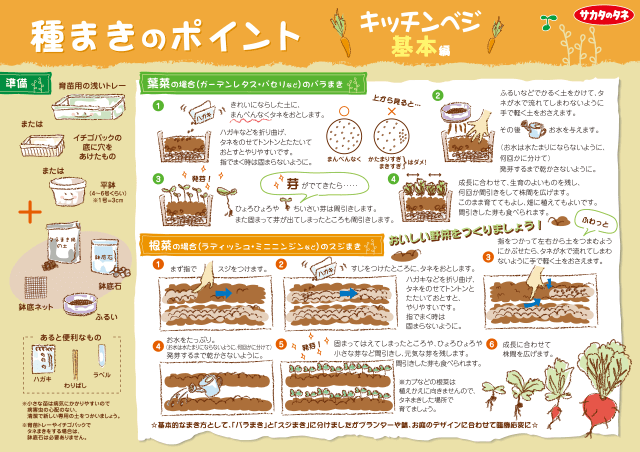 PDF表示イメージ