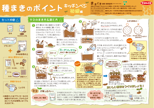 PDF表示イメージ