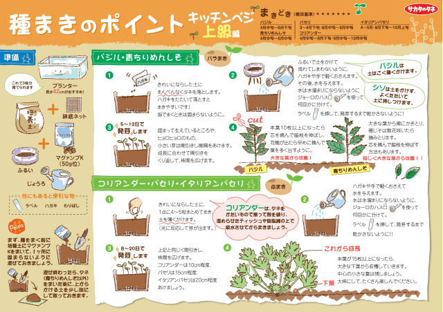 PDF表示イメージ