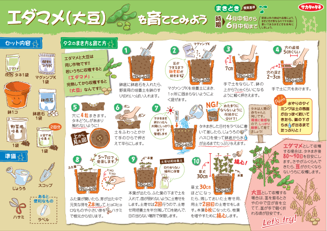 PDF表示イメージ