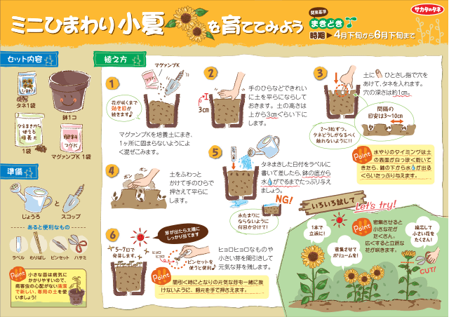 PDF表示イメージ