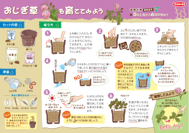 PDF表示イメージ