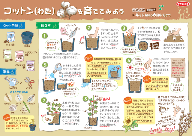 PDF表示イメージ