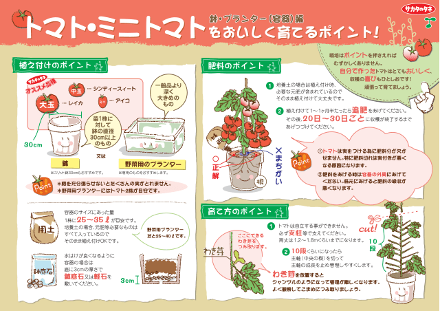 PDF表示イメージ