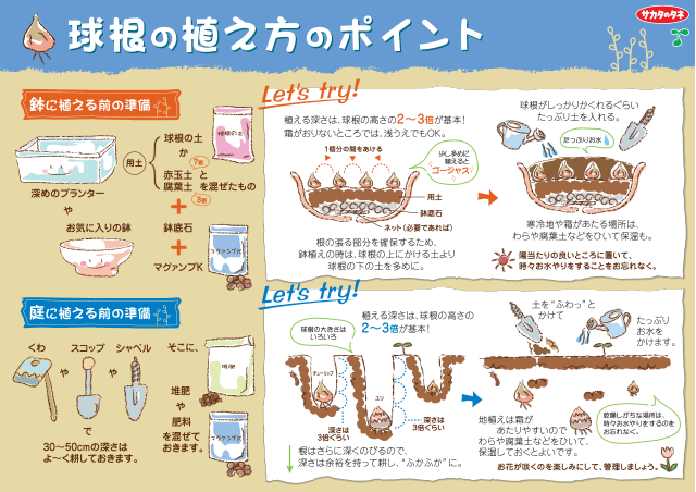 PDF表示イメージ